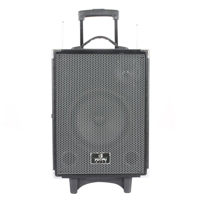 Professional PA Speaker with SD and USB (Two Wireless Handheld Mics)