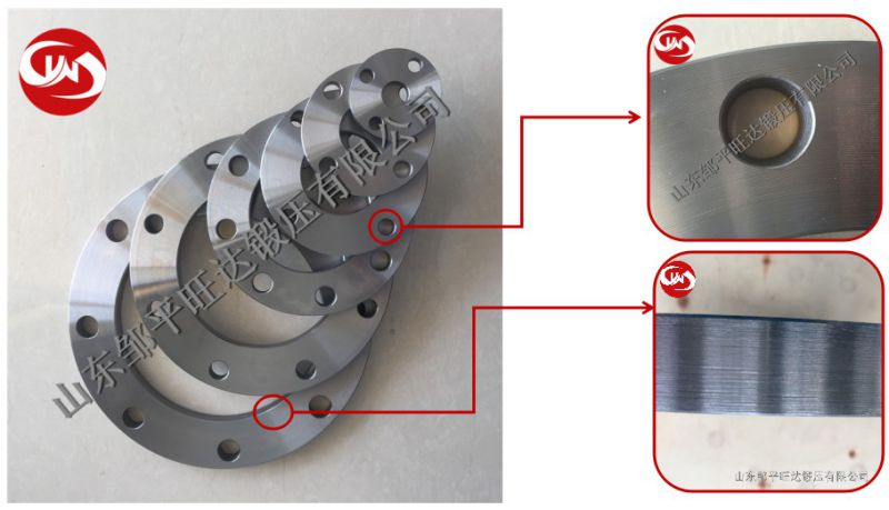 Blind Flange (BL) Carbon Steel Forged Pipe Fitting Flange