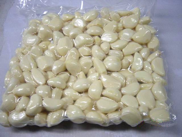 Fresh Peeled White Garlic for Export