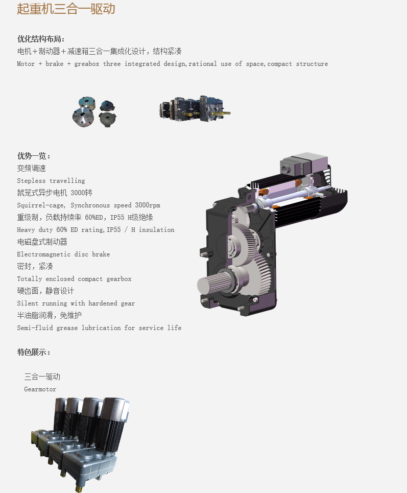 Travelling Motor for Crane Low Price