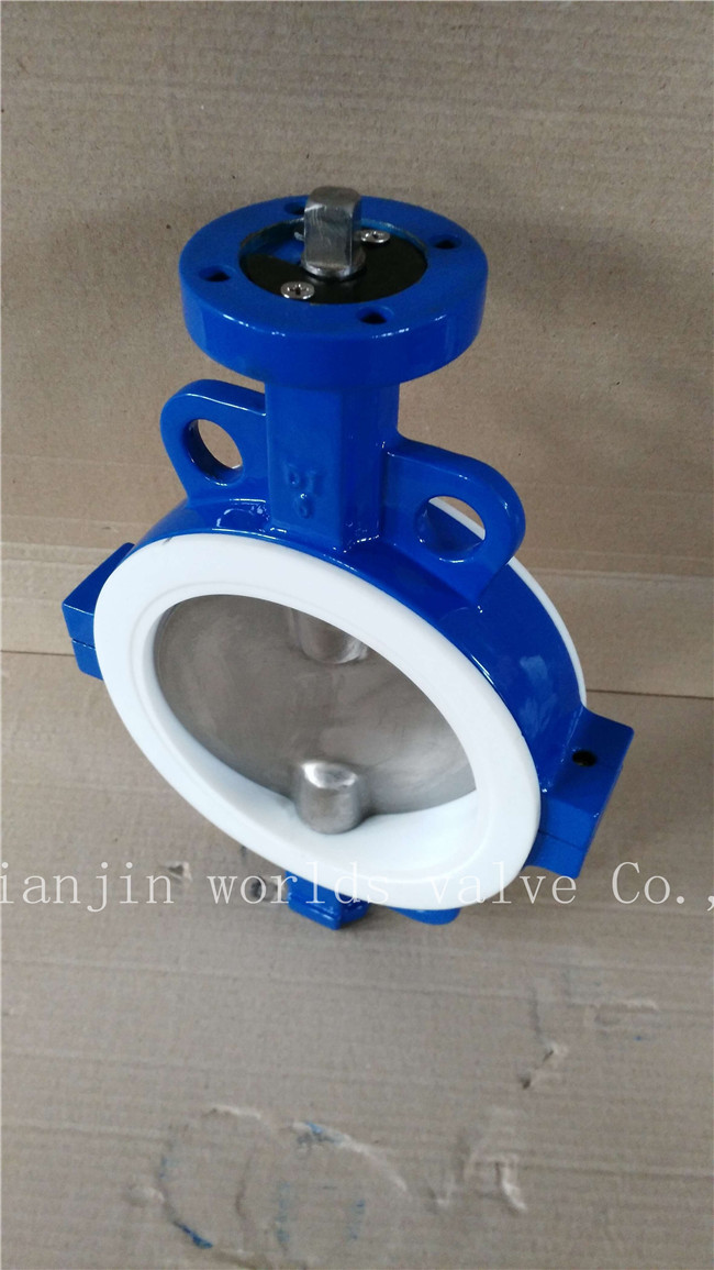 PTFE Butterfly Valve with Ce ISO Wras (CBF04-TA01)