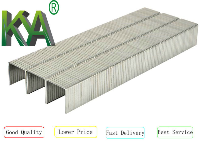 Galvanized Prebena V Industrial Staples for Furnituring