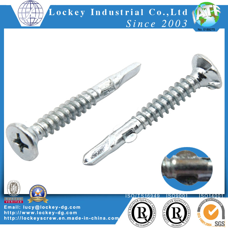 Self Drilling Screw Self Tapping Screw with Nibs / Wing