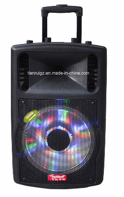 12 Inch Function Trolley Speaker with Mini Bluetooth Battery F78d