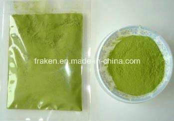 High Quality Barley Grass Powder