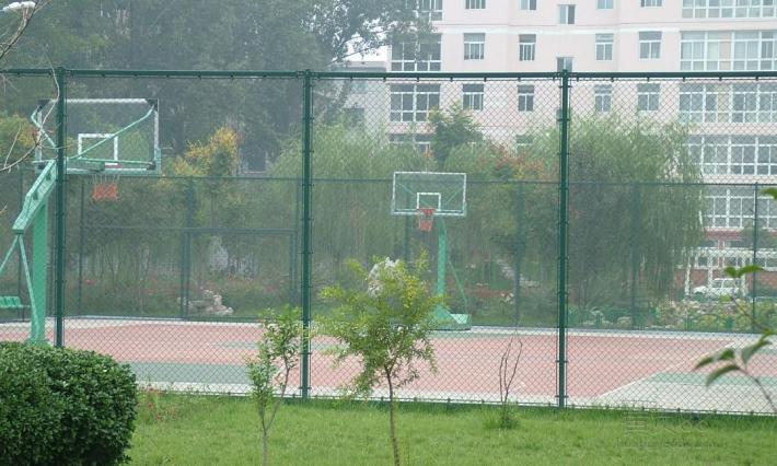 High Quality Customized Chain Link Fence