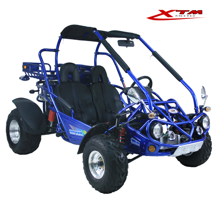 EPA/EEC Road Legal 300cc 2 Seat Automatic Dune Buggy