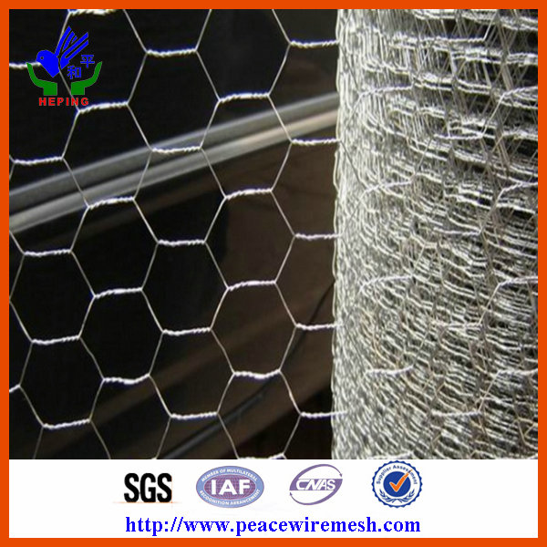 High Quality Galvanized Chicken Wire Mesh (ECW-01)