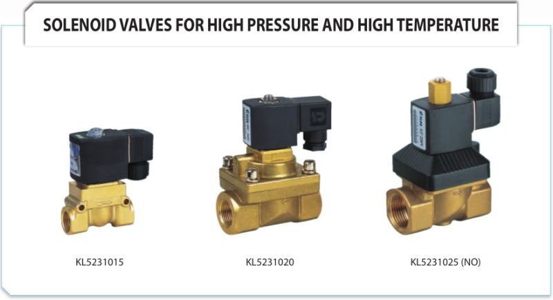 Solenoid Valve for High Pressure and High Temperature