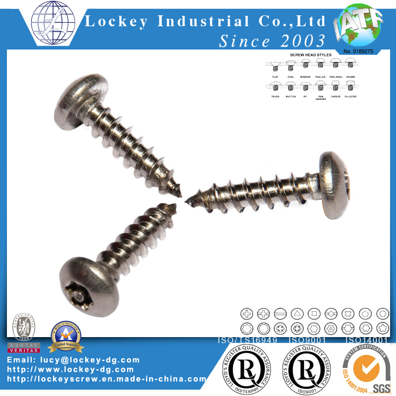 Stainless Steel One Way Round Head Tapping Screw