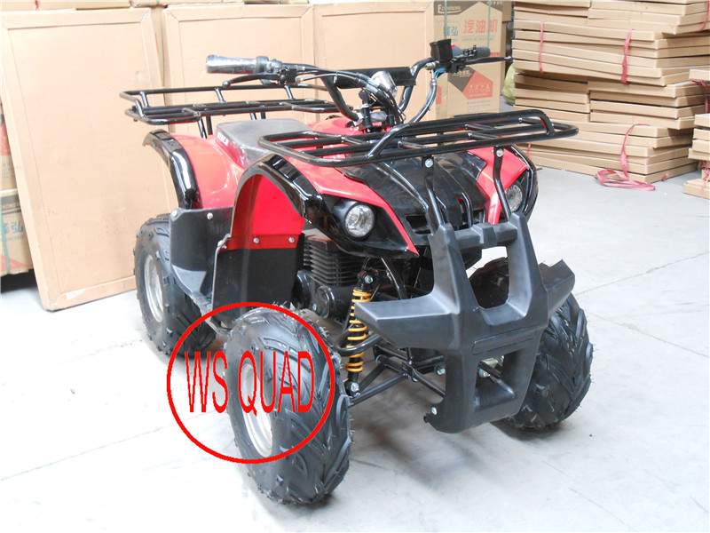 500W-800W Big Electric ATV Quads, Electric Scooter (ET-EATV002)