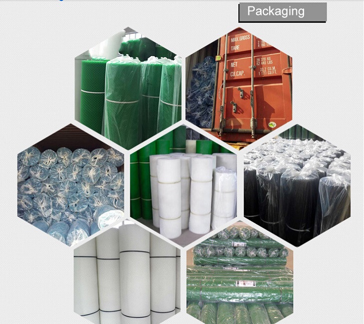 China Manufacturer Green Plastic Mesh Screen/ Garden Plastic Mesh Screen (XM-033)