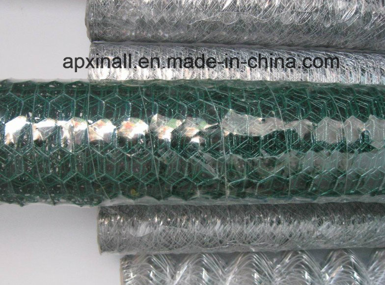 Andslide Protection Netting/Hexagonal Wire Netting