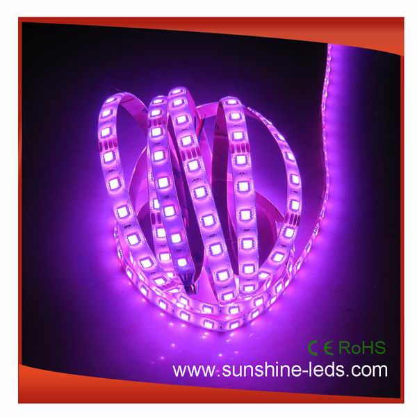 High Brightness RGB Color LED Strip Lamp (SU-LR5050RGB300-12)