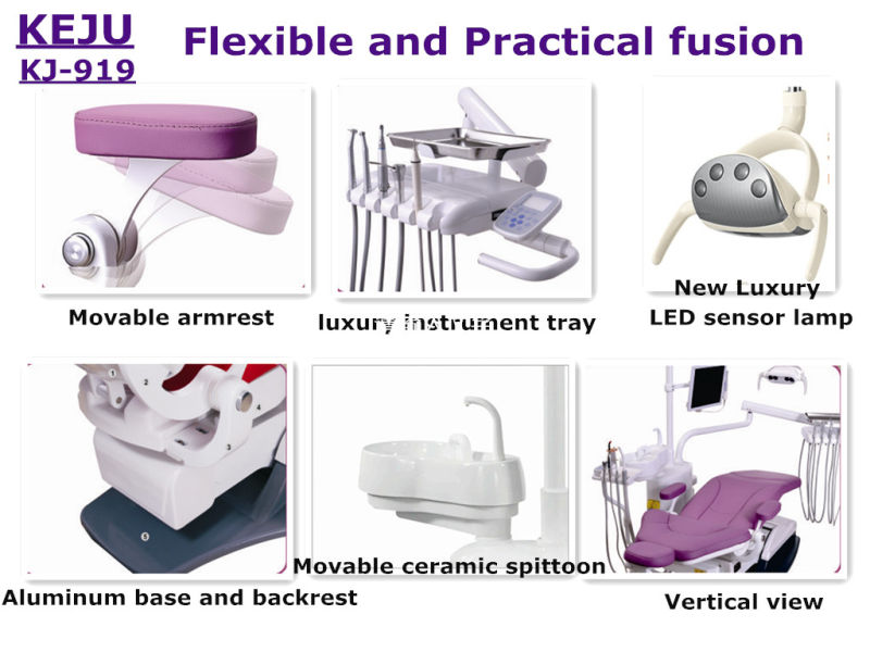 ISO Ce Approved Dental Equipment China Luxury Dental Unit Chair