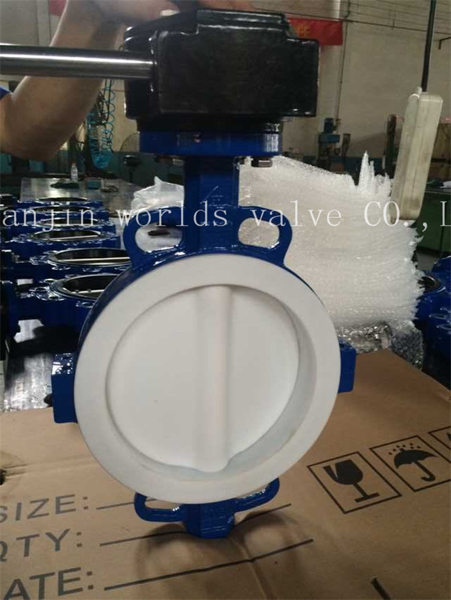 Full Teflon Lined Wafer Type Butterfly Valve (CBF04-TA01)