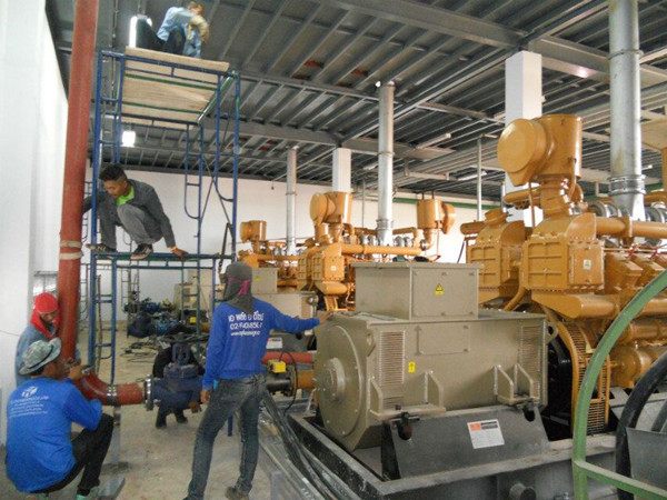 Straw Wood Chips Export to EU 30-600kw Biomass Gas Generator/Biomass Gasifier Power Plant/Syngas Generator