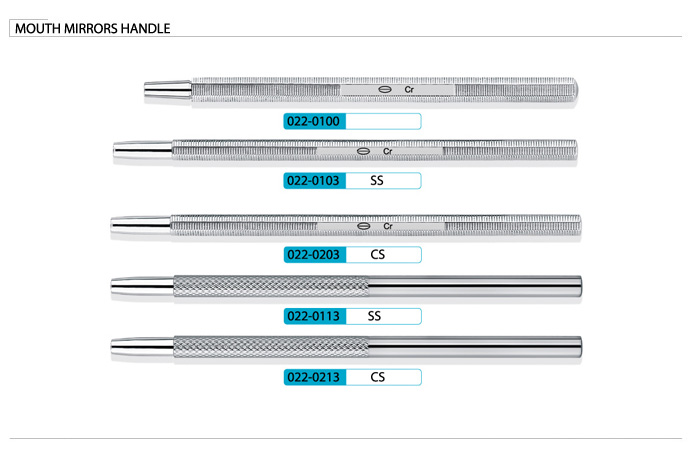 Flourish Dental Burnisher Dental Supplies (XT-FL022)