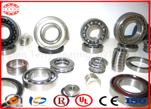 Plastic Insert Bearing with Housing