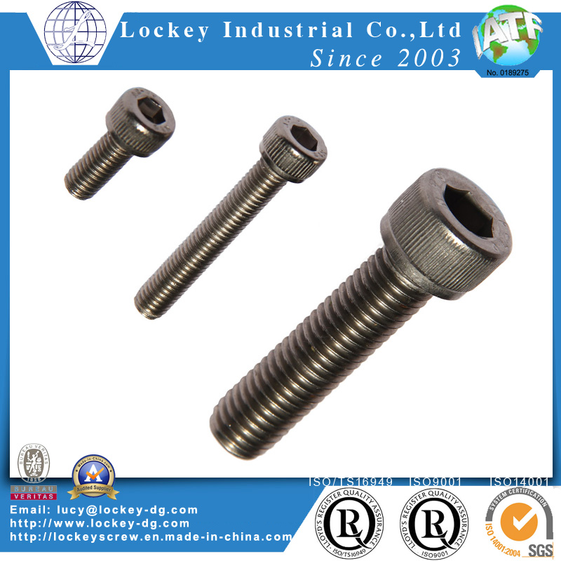 Stainless Steel Hex Socket Head Screw