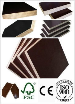 Huabao Top Quality Film Faced Plywood/Marine Plywood