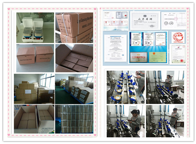 Water Meter, Volumetric Rotary Piston Water Meter Types