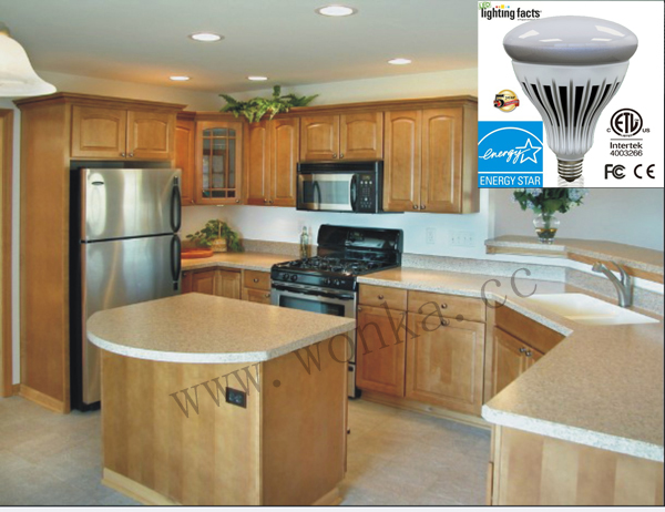 Energy Star Fully Dimmable R40/Br40 of LED Light Bulb