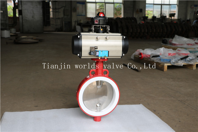 Split Body Wafer Type Butterfly Valve with Polishing Disc (CBF04-TA01)