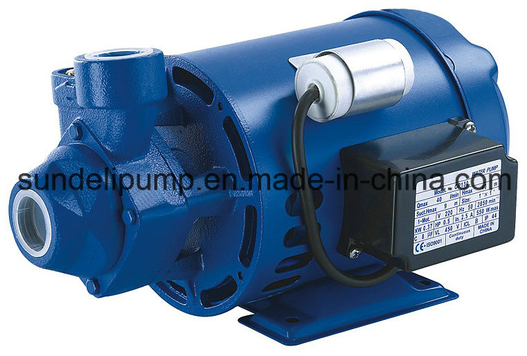 (CP130) High Quality Cast Iron Household Peripheral Water Pump