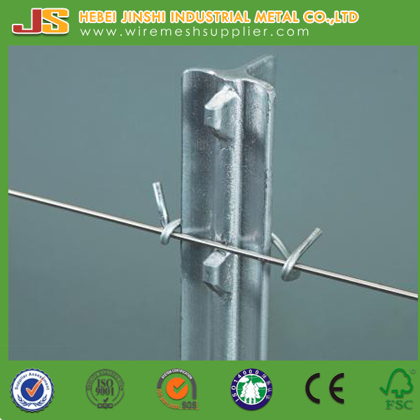 High Quality Green Painted Rail Steel Metal Studded T Post