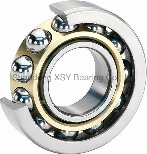 Single Row Angular Contact Ball Bearing (3200)