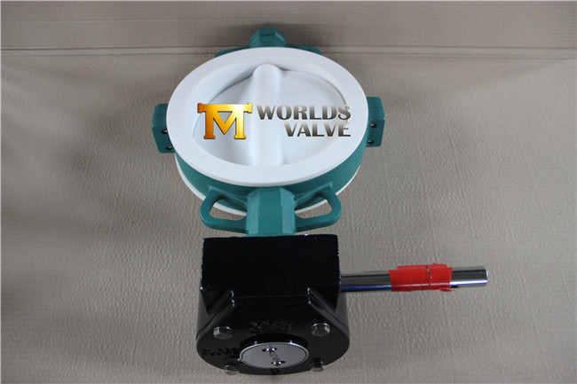 Full PFA Coating Wafer Type Butterfly Valve with Ce ISO Wras Approved (CBF04-TA01)