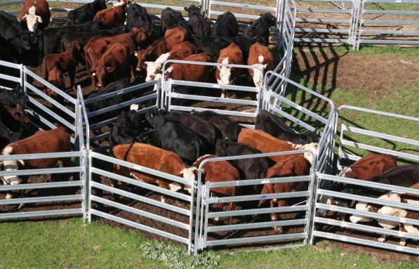 Hot Sale Heavy Duty Galvanized Welded Protable Cattle Panel