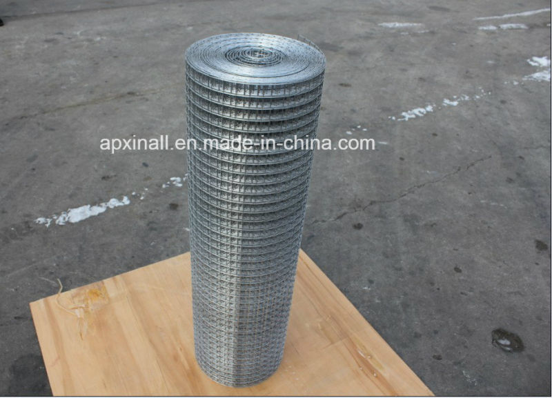 Hot Dipped Galvanized Welded Wire Mesh Panel Good Quality Famous Brand Product