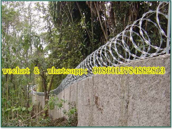 Hot-Dipped Galvanized Concetina Razor Wire Cbt 65