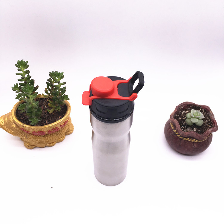 Stainless Steel Water Bottle, Sports Bottle, Travel Bottle (SH-ST02)