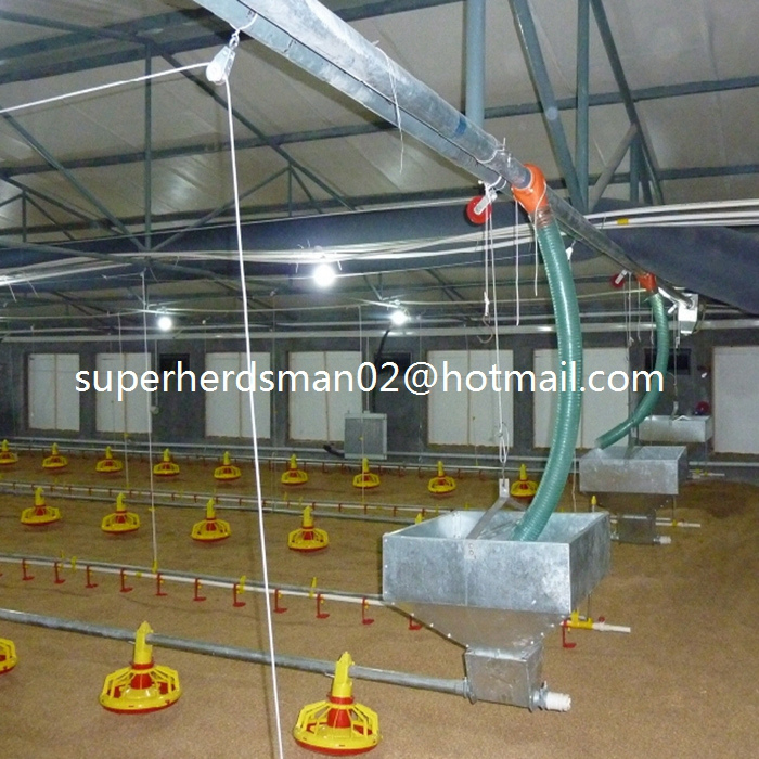 Full Set Chicken Feeding Equipment for Broiler