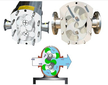 Chemical Stainless Steel Rotary Lobe Pump