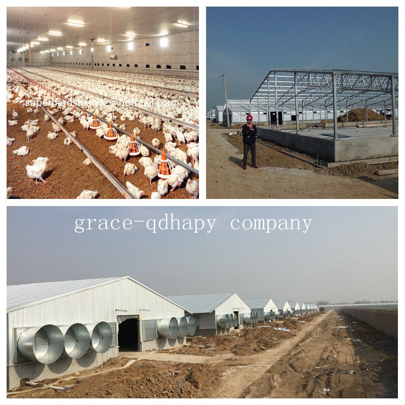 Prefab Poultry House for modern Livestock Farm