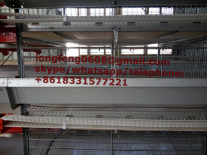 Automatic Rearing Layer Cage for Poultry Equipment