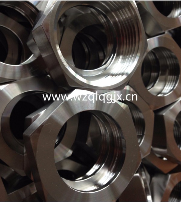 Stainless Steel Fitting Sanitary SMS DIN Union