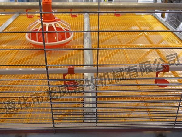 a Type of Automatic Poultry Cage