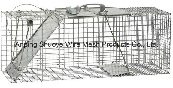 Humane Rabbit Rat Mink Grey Squirrel Small Raccoon Possum Cat Folding Live Animal Cage Trap