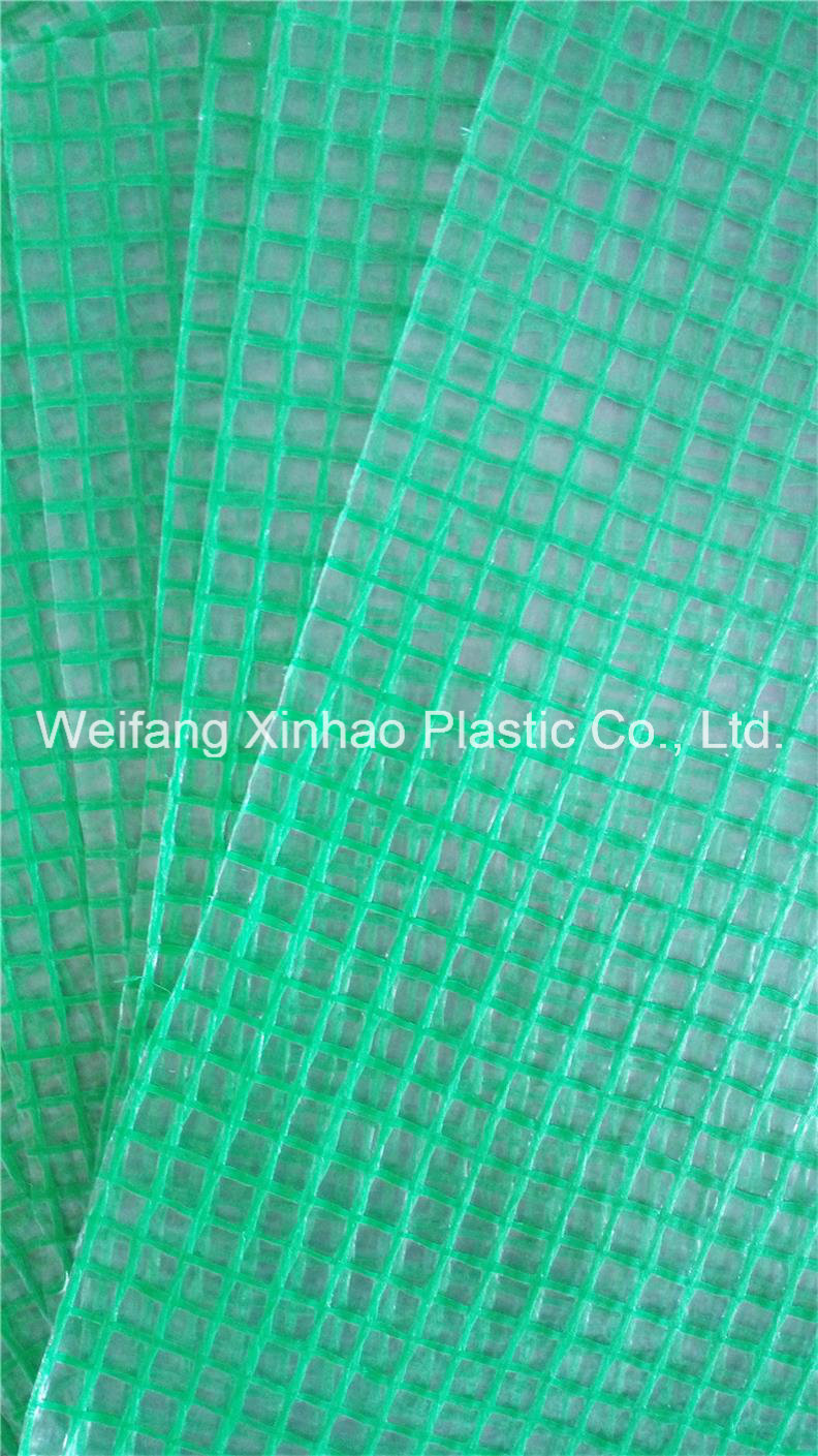 PE Scaffolding Leno Tarpaulin, Coated Mesh Fabric