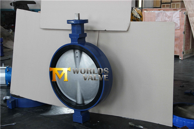 Double D Stem Head Concentric Rubber Seat Wafer Butterfly Valve