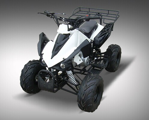 Electric Kids 110cc Mini ATV for Child (MDL GA004-3)