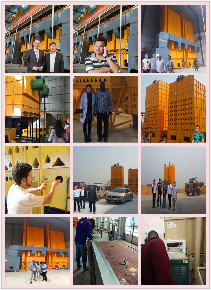 Re-Circulating Batch Zea Mays Drying Machinery