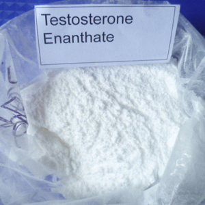 Test Enanthate Steroids Powder; Injectable Liquid Oil Test Enanthate