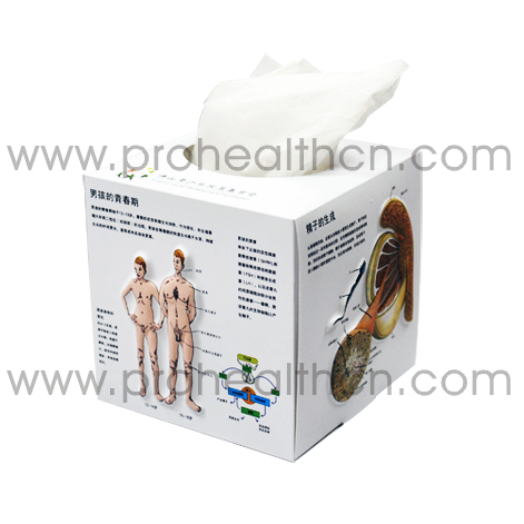 3D Tissue Box (PH4609)