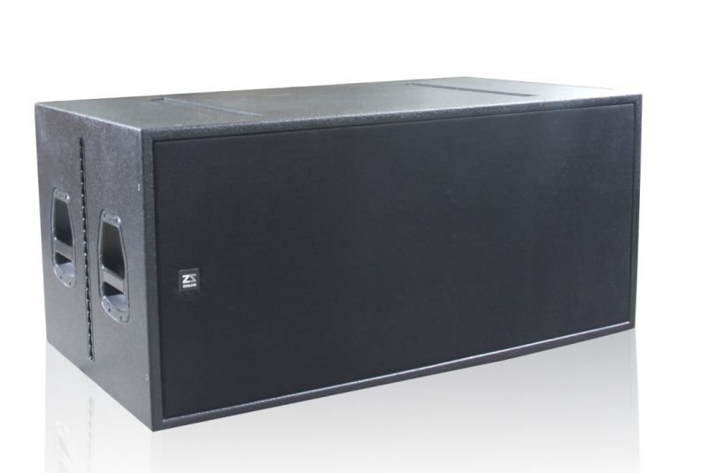 Dual 18 Subwoofer Speaker for Line Array